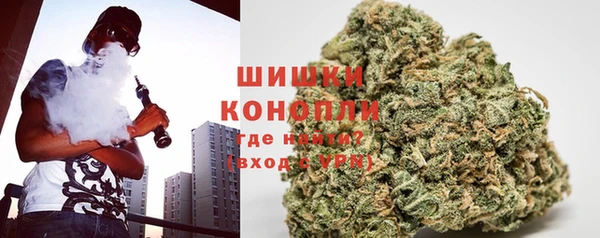 стаф Елабуга