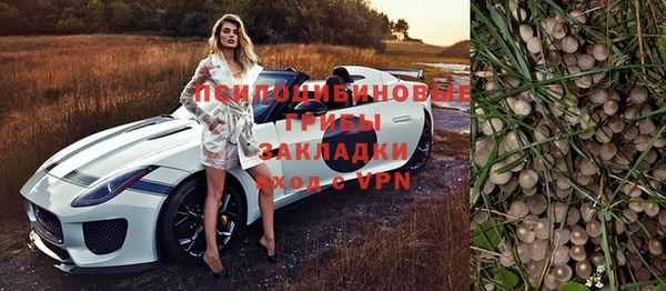 экстази Заводоуковск
